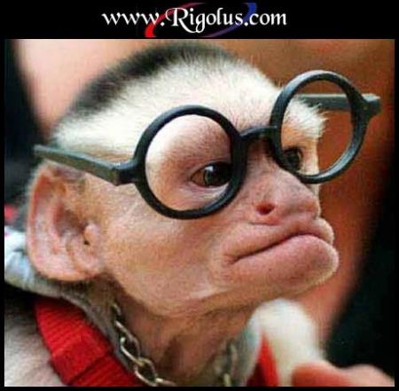 singe